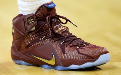 how much do lebron james shoes cost