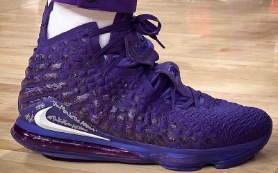 lebron all purple shoes