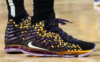 LeBron James in the Nike LeBron 17 'Lakers colors'