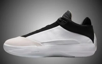 Air Jordan 40