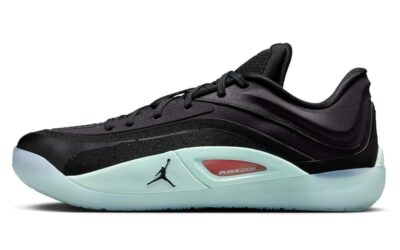 Jordan Zion 4