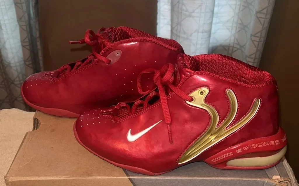 Nike Air Swoopes 6
